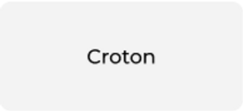 Croton